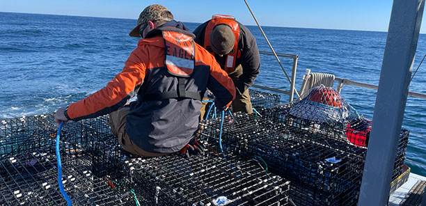 Researchers on a boat examine traps to conduct a study of the Atlantic surfclam in the lease area