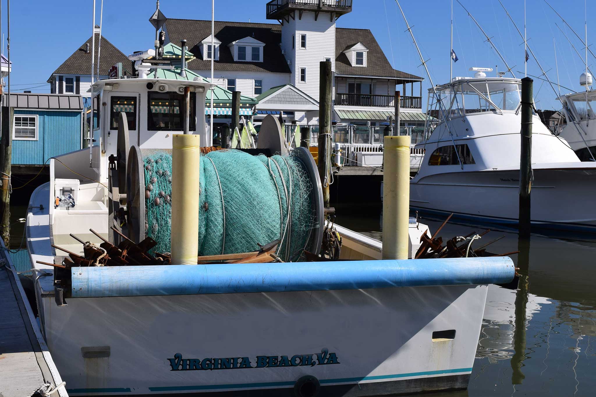 Commercial fishing in Virginia Beach